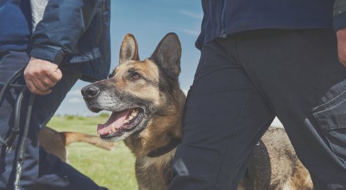 GSA Global Announces New Partnership with Specialist K9’s Limited